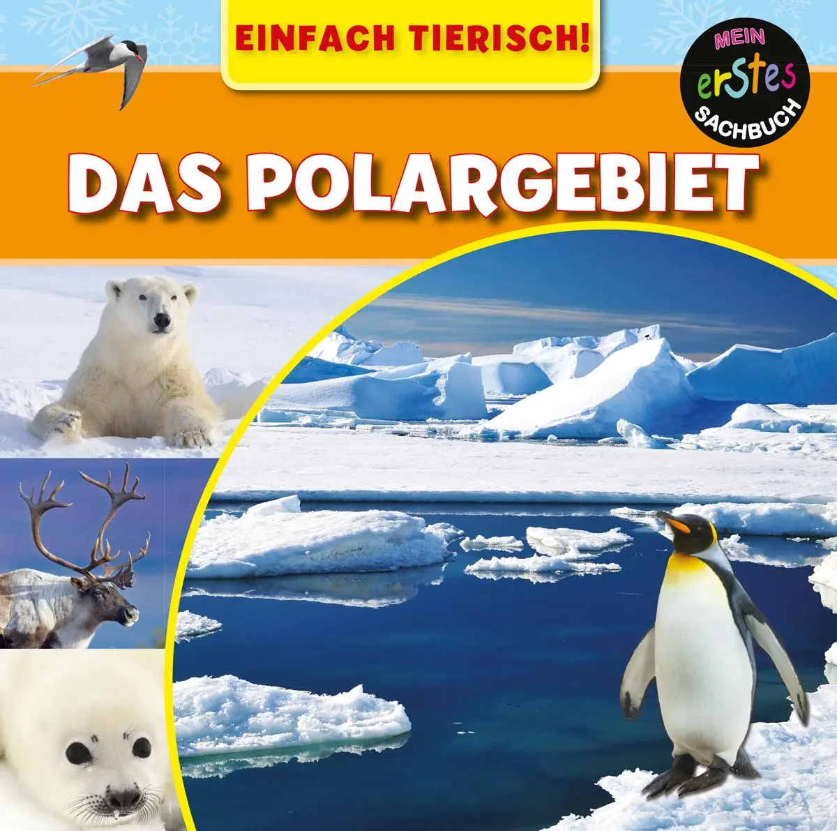 Cover: 9789463410670 | Das Polargebiet | EINFACH TIERISCH! | Mary-Jane Wilkins | Buch | 24 S.