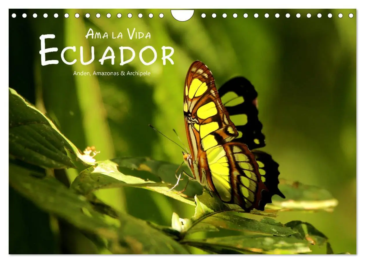 Cover: 9783457920770 | Ama la Vida Ecuador (Wandkalender 2026 DIN A4 quer), CALVENDO...
