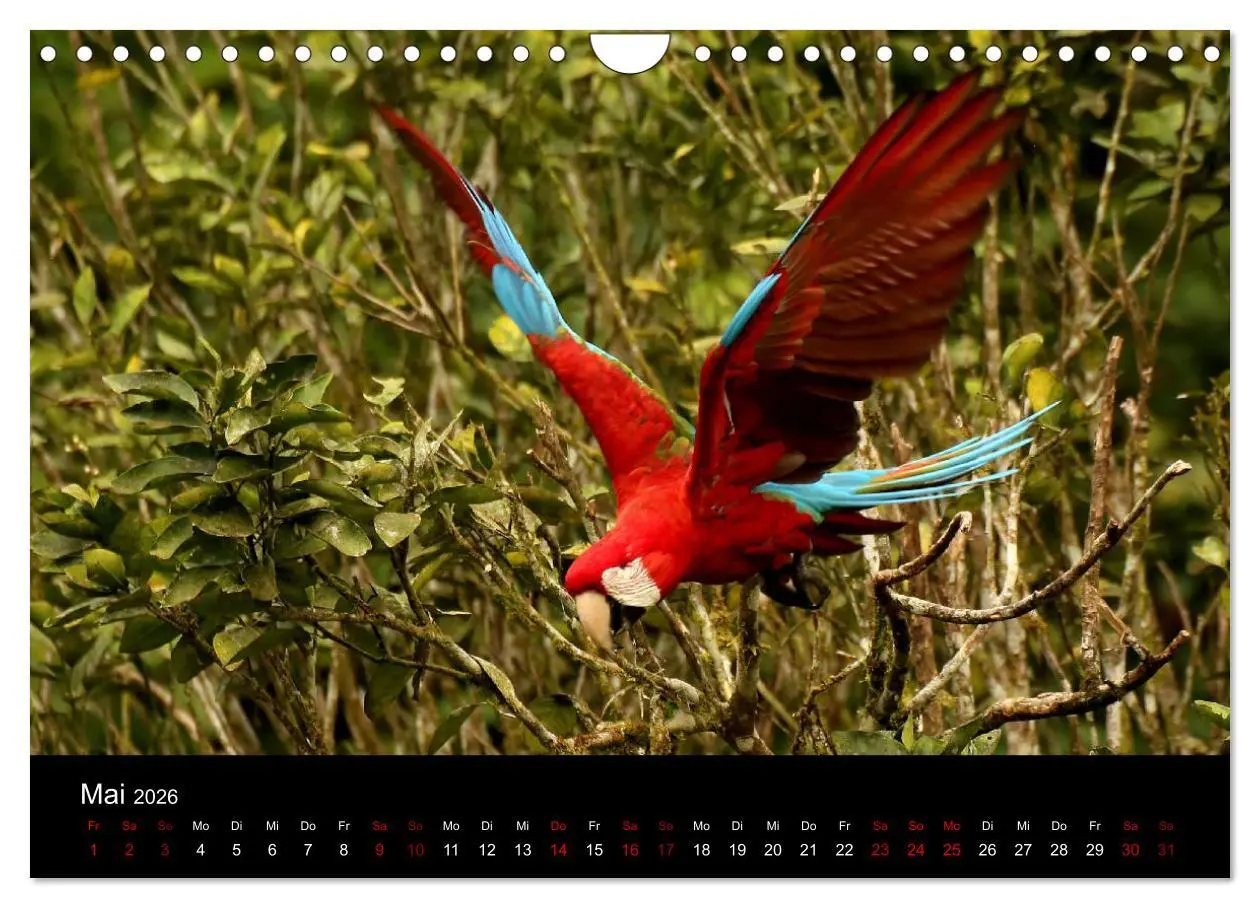 Bild: 9783457920770 | Ama la Vida Ecuador (Wandkalender 2026 DIN A4 quer), CALVENDO...
