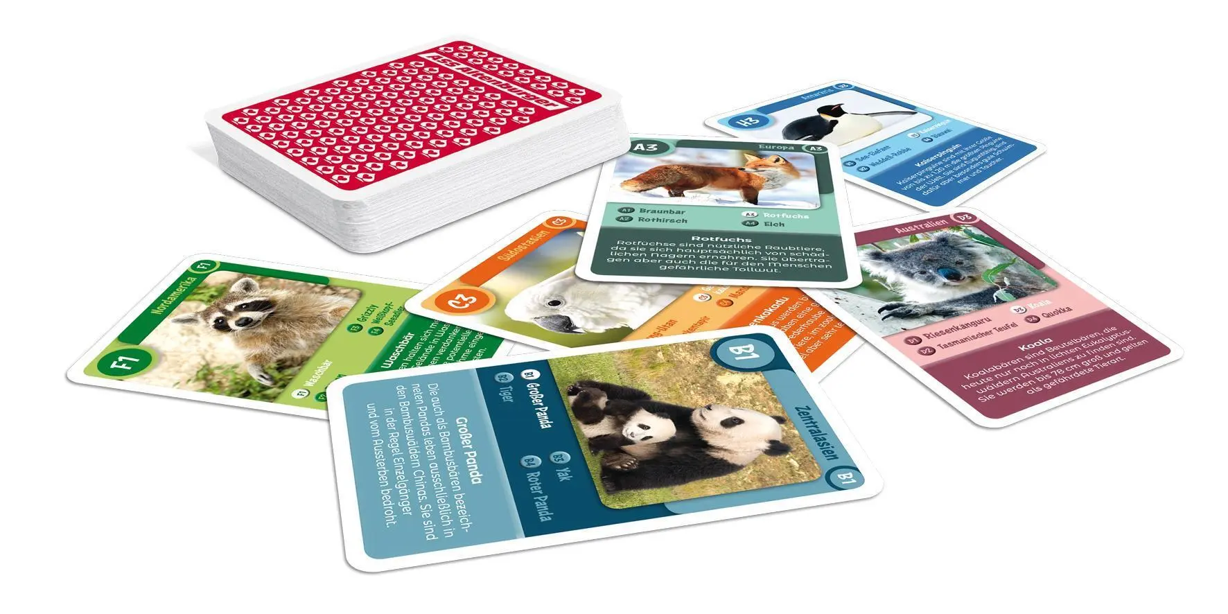 Bild: 4042677720870 | Tier-Quartett - Wilde Tiere | Spielkartenfabrik Altenburg GmbH | Spiel