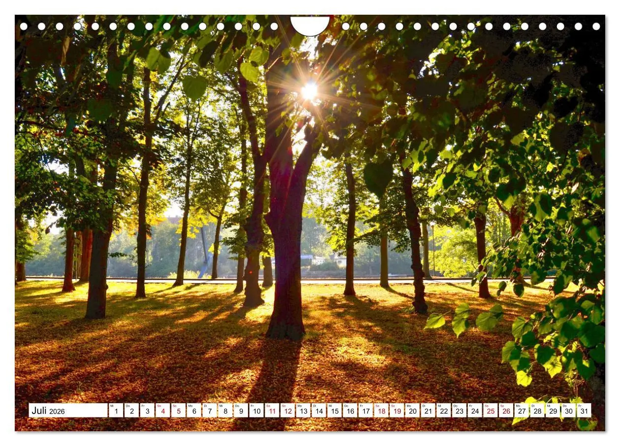 Bild: 9783457600870 | Kassel begeistert (Wandkalender 2026 DIN A4 quer), CALVENDO...