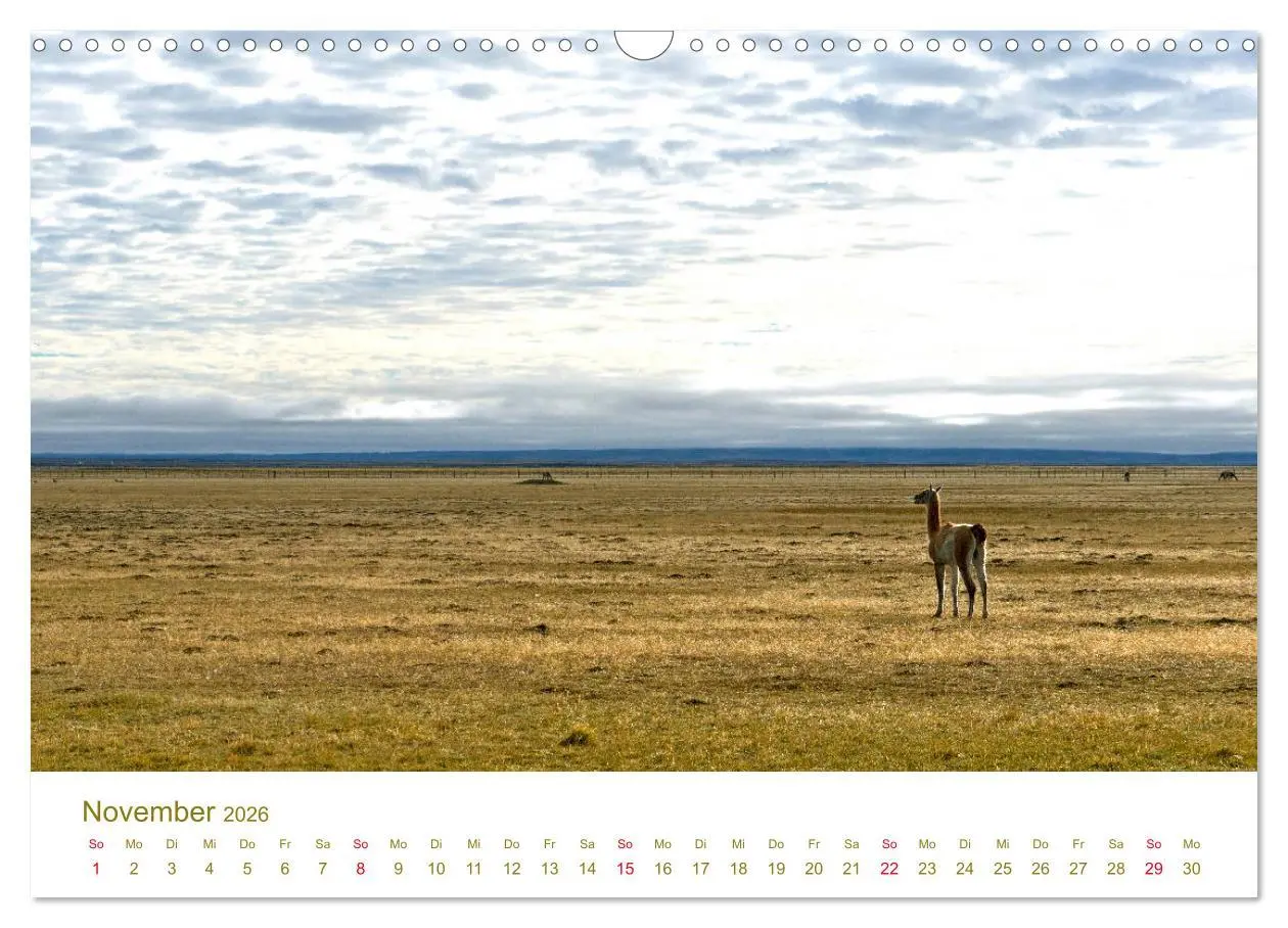 Bild: 9783457840870 | Weites Argentinien (Wandkalender 2026 DIN A3 quer), CALVENDO...