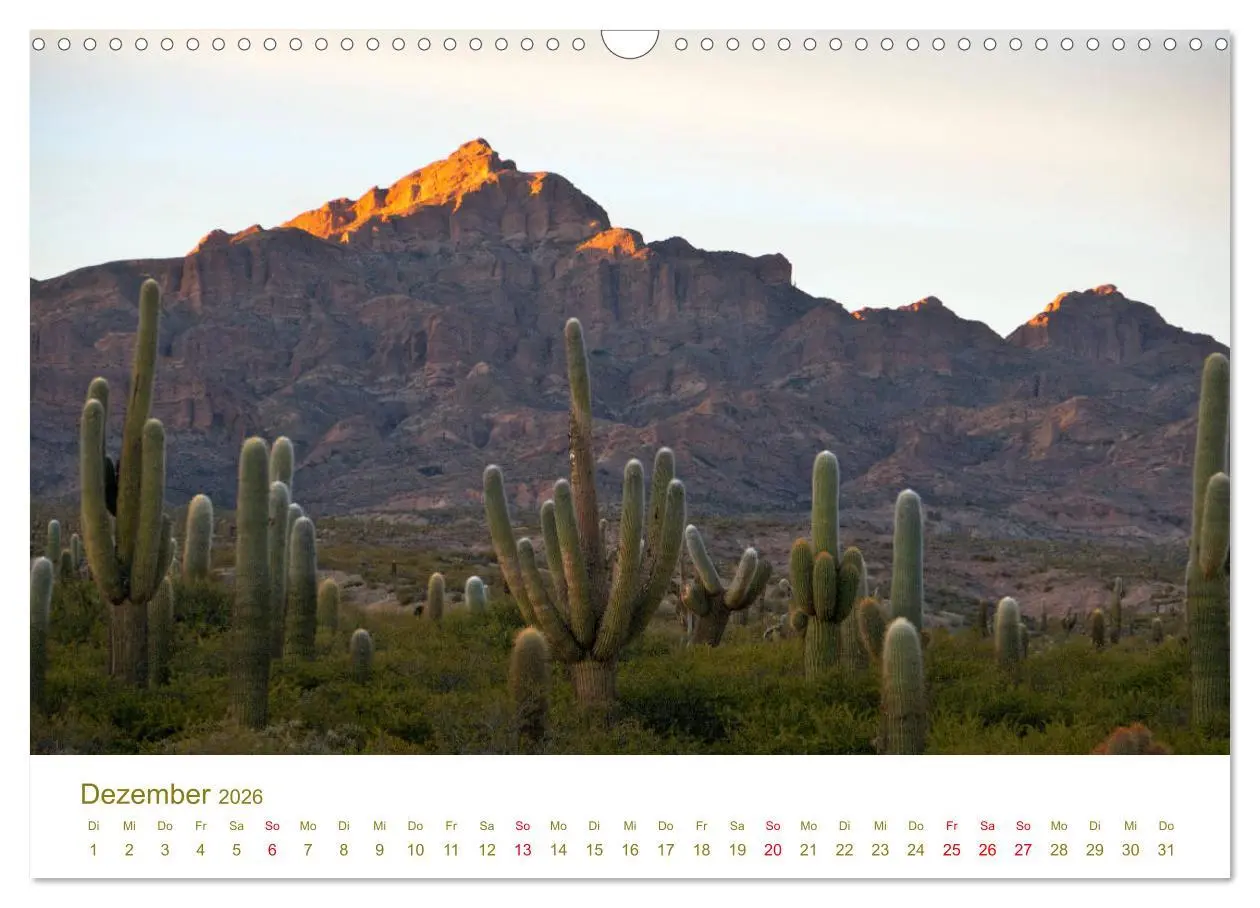 Bild: 9783457840870 | Weites Argentinien (Wandkalender 2026 DIN A3 quer), CALVENDO...