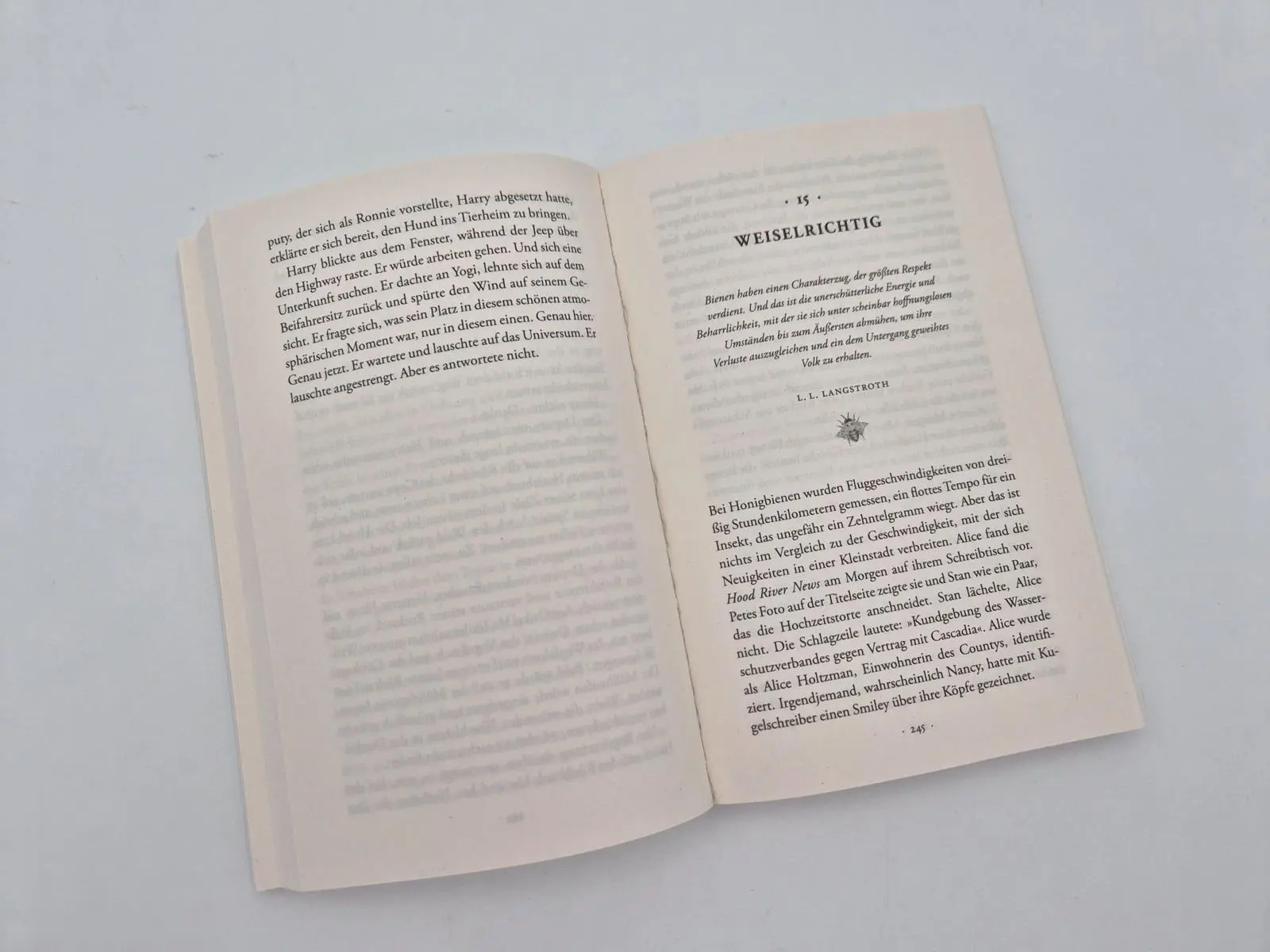Bild: 9783492320870 | Die Melodie der Bienen | Eileen Garvin | Taschenbuch | 464 S. | 2026
