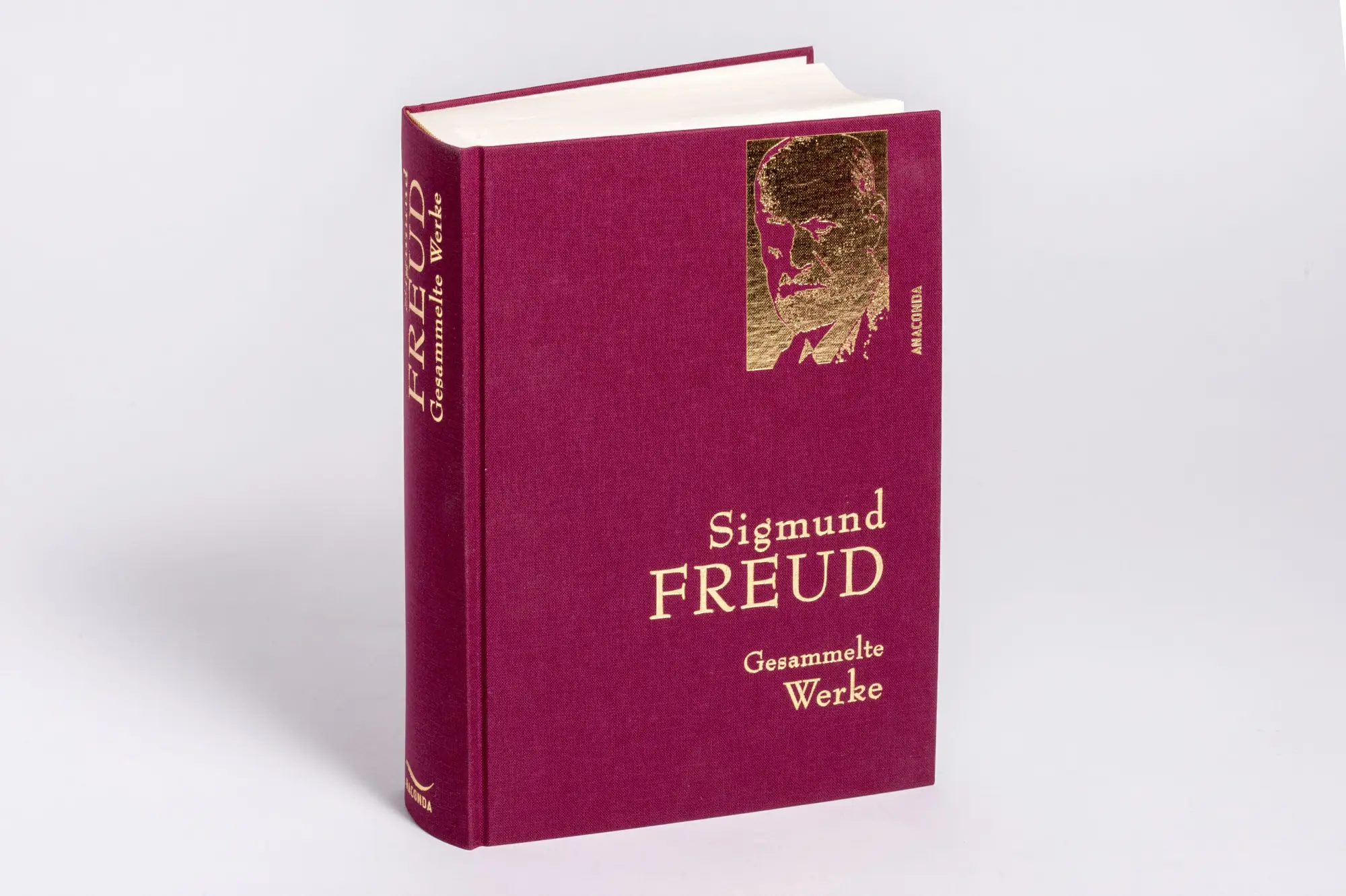 Bild: 9783730600870 | Sigmund Freud - Gesammelte Werke | Sigmund Freud | Buch | 1008 S.
