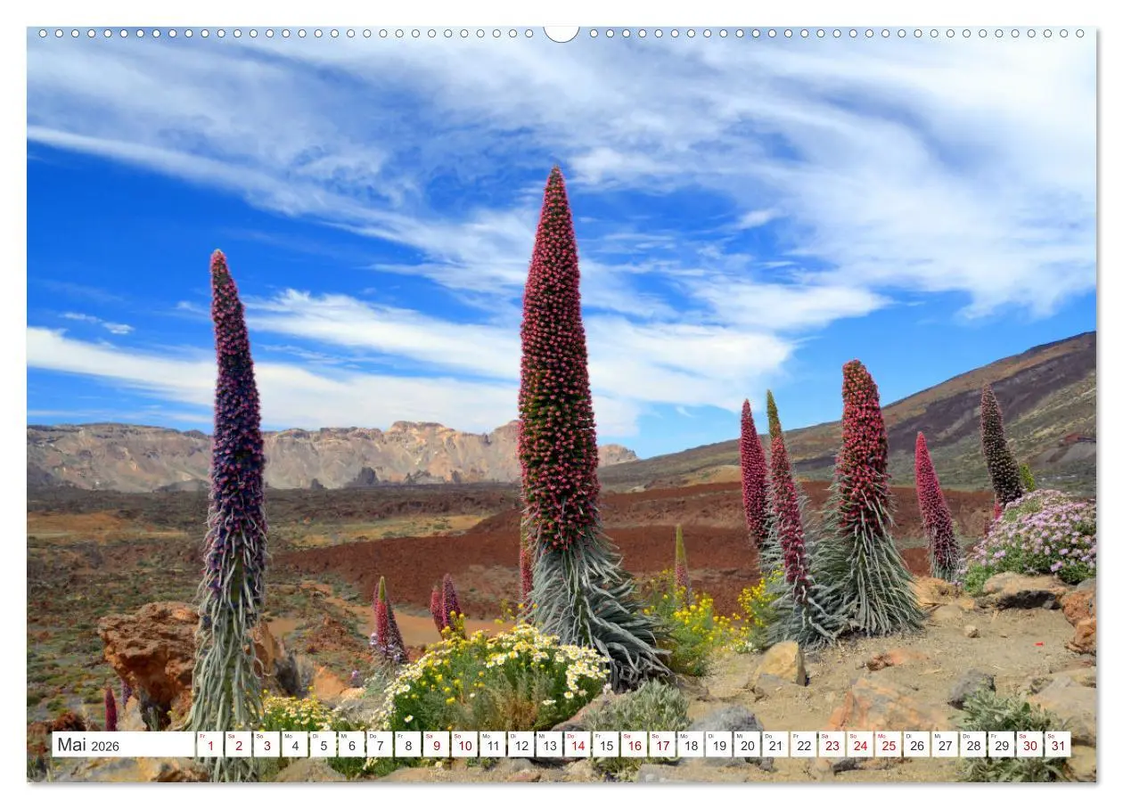 Bild: 9783457380970 | Teneriffa Insel der Glückseligen (hochwertiger Premium Wandkalender...