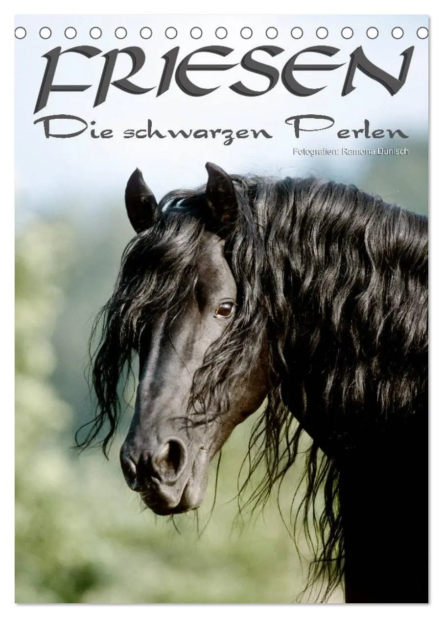Cover: 9783516470970 | Friesen - die schwarzen Perlen (Tischkalender 2026 DIN A5 hoch),...