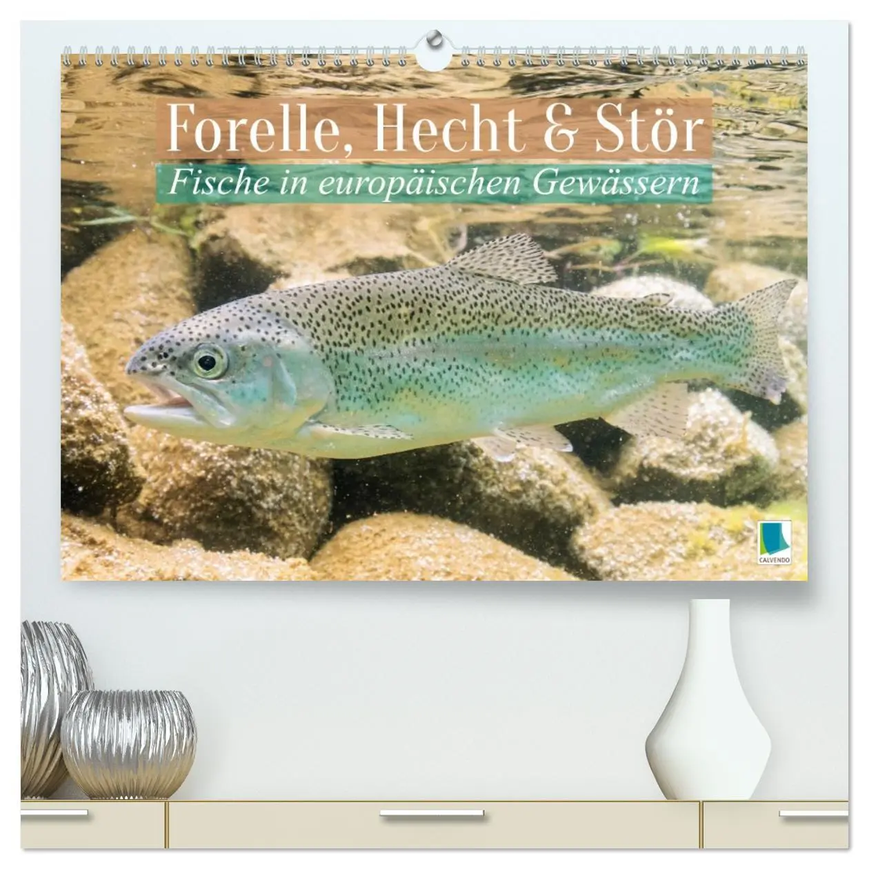 Cover: 9783516610970 | Forelle, Hecht und Stör: Fische in europäischen Gewässern...