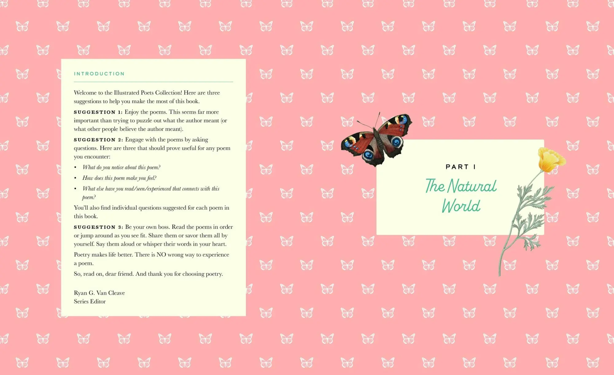 Bild: 9781638191070 | The Illustrated Emily Dickinson | 25 Essential Poems | Emily Dickinson