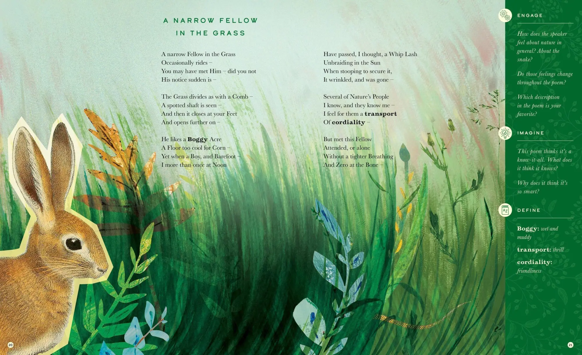 Bild: 9781638191070 | The Illustrated Emily Dickinson | 25 Essential Poems | Emily Dickinson