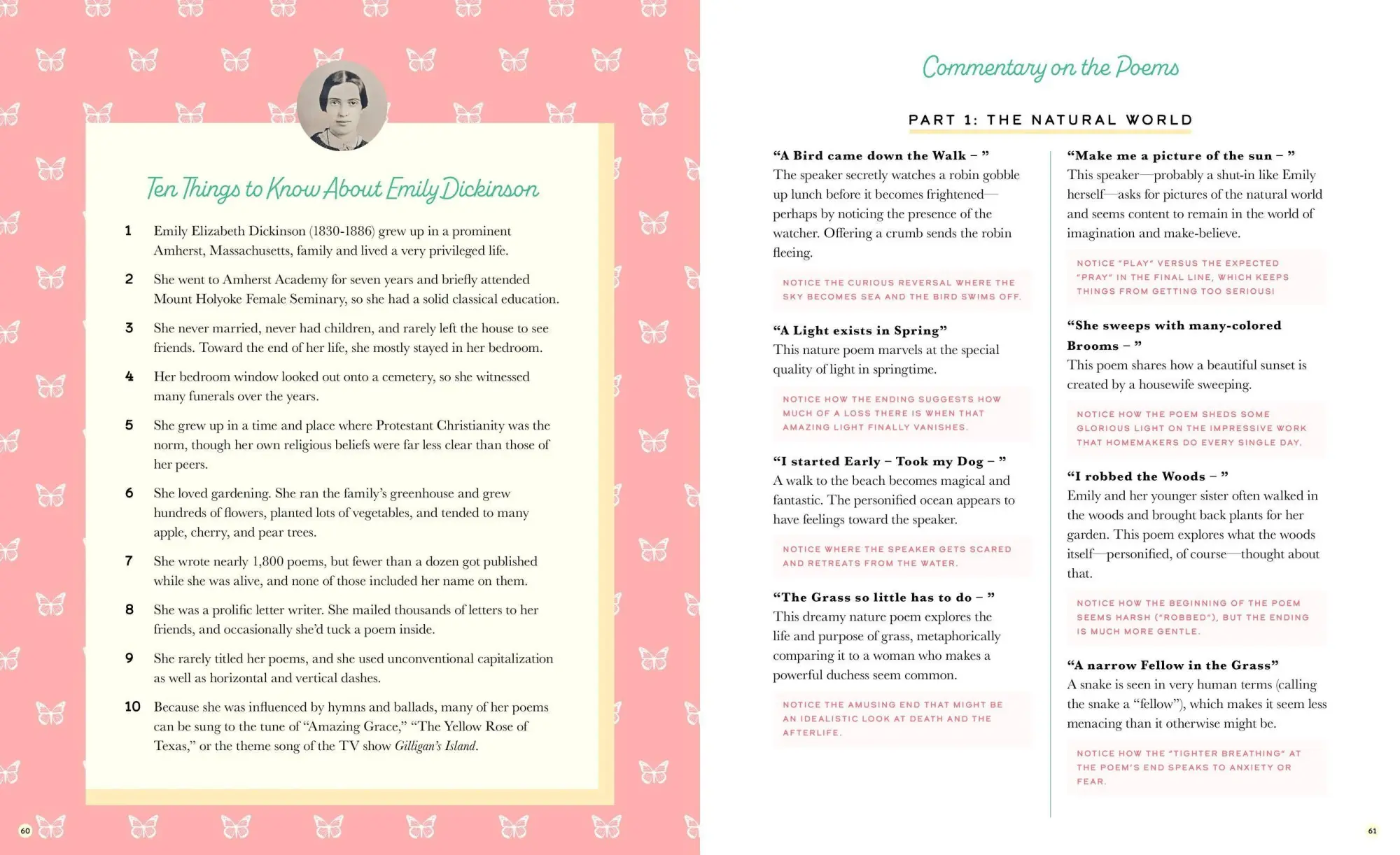 Bild: 9781638191070 | The Illustrated Emily Dickinson | 25 Essential Poems | Emily Dickinson