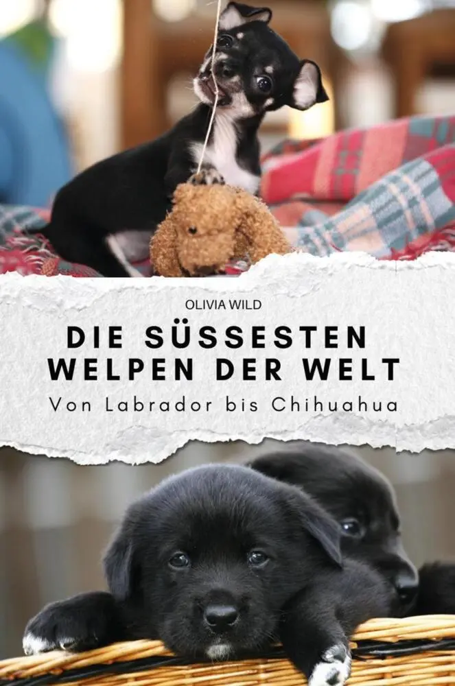 Cover: 9783759151070 | Die süßesten Welpen der Welt | Olivia Wild | Taschenbuch | 74 S.