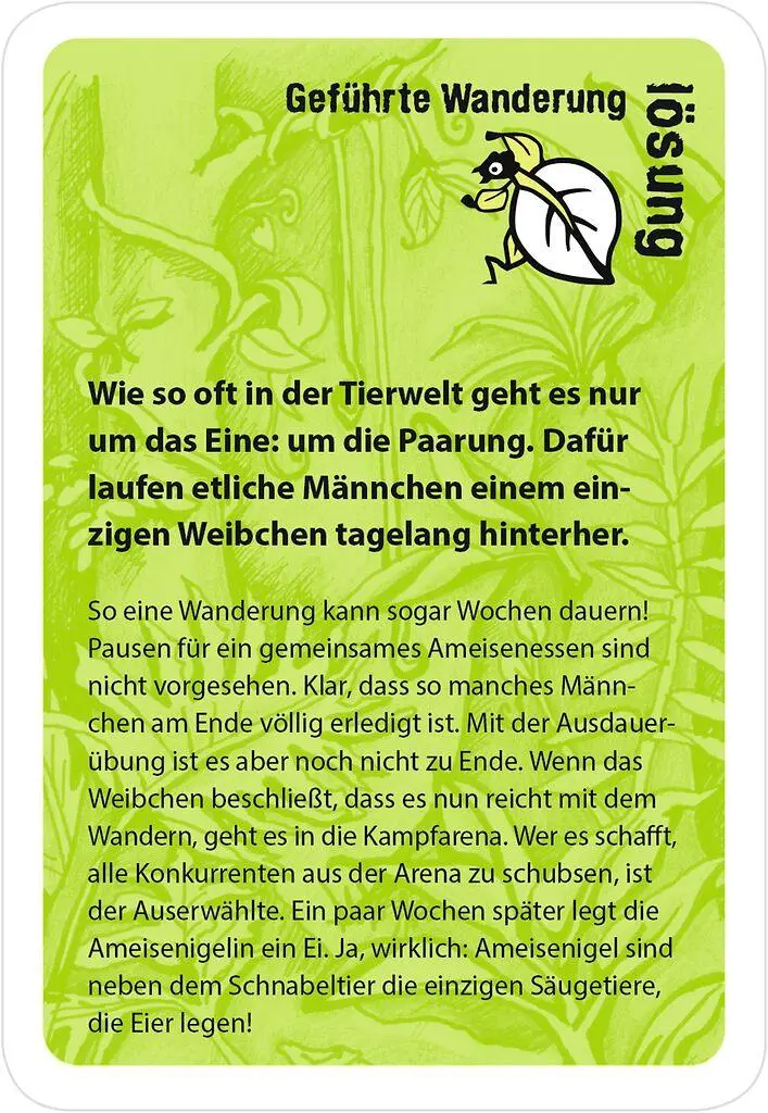 Bild: 4033477901170 | black stories junior Tierisch wild! | Andrea Köhrsen | Spiel | 50 S.