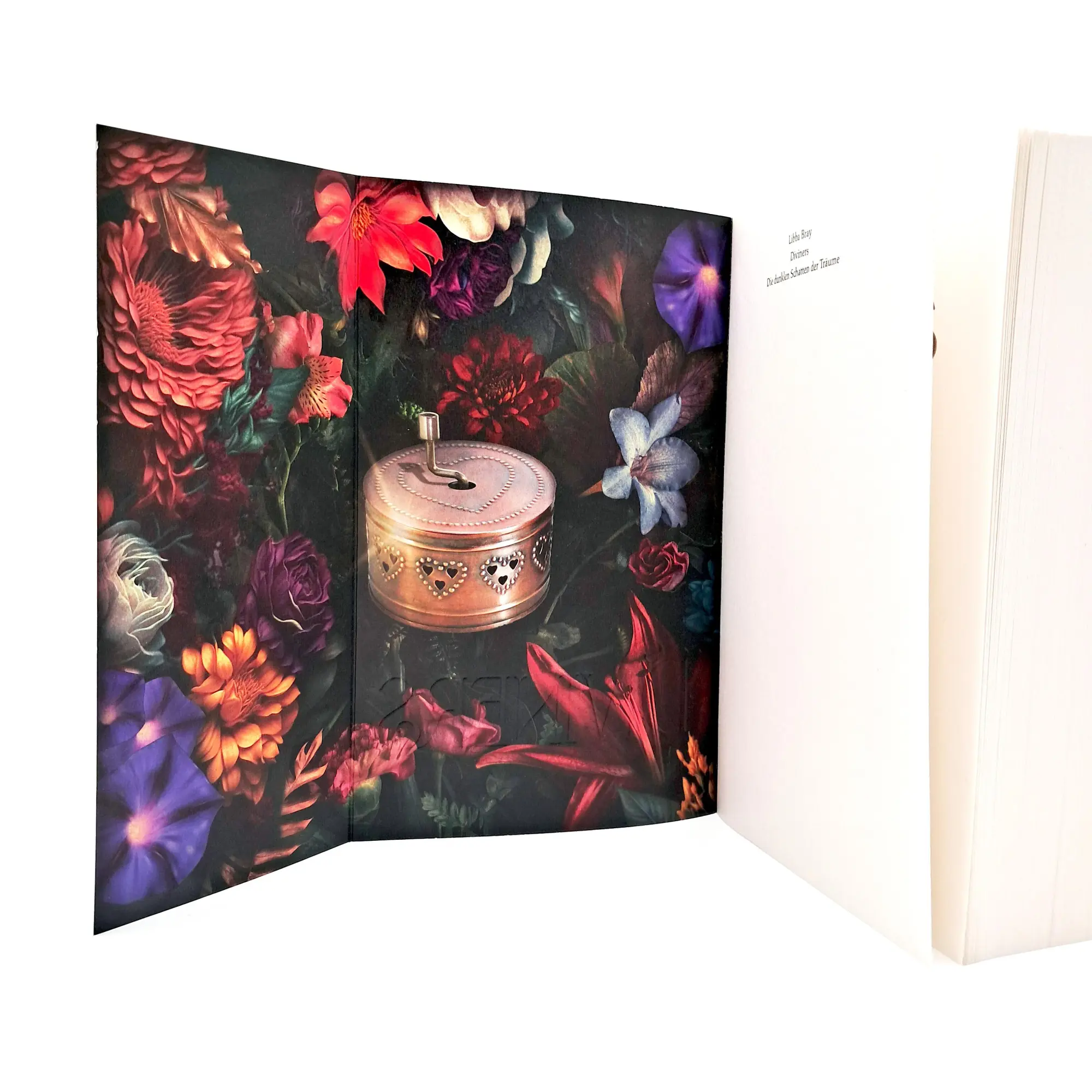 Bild: 9783423741170 | Diviners - Die dunklen Schatten der Träume | Libba Bray | Taschenbuch