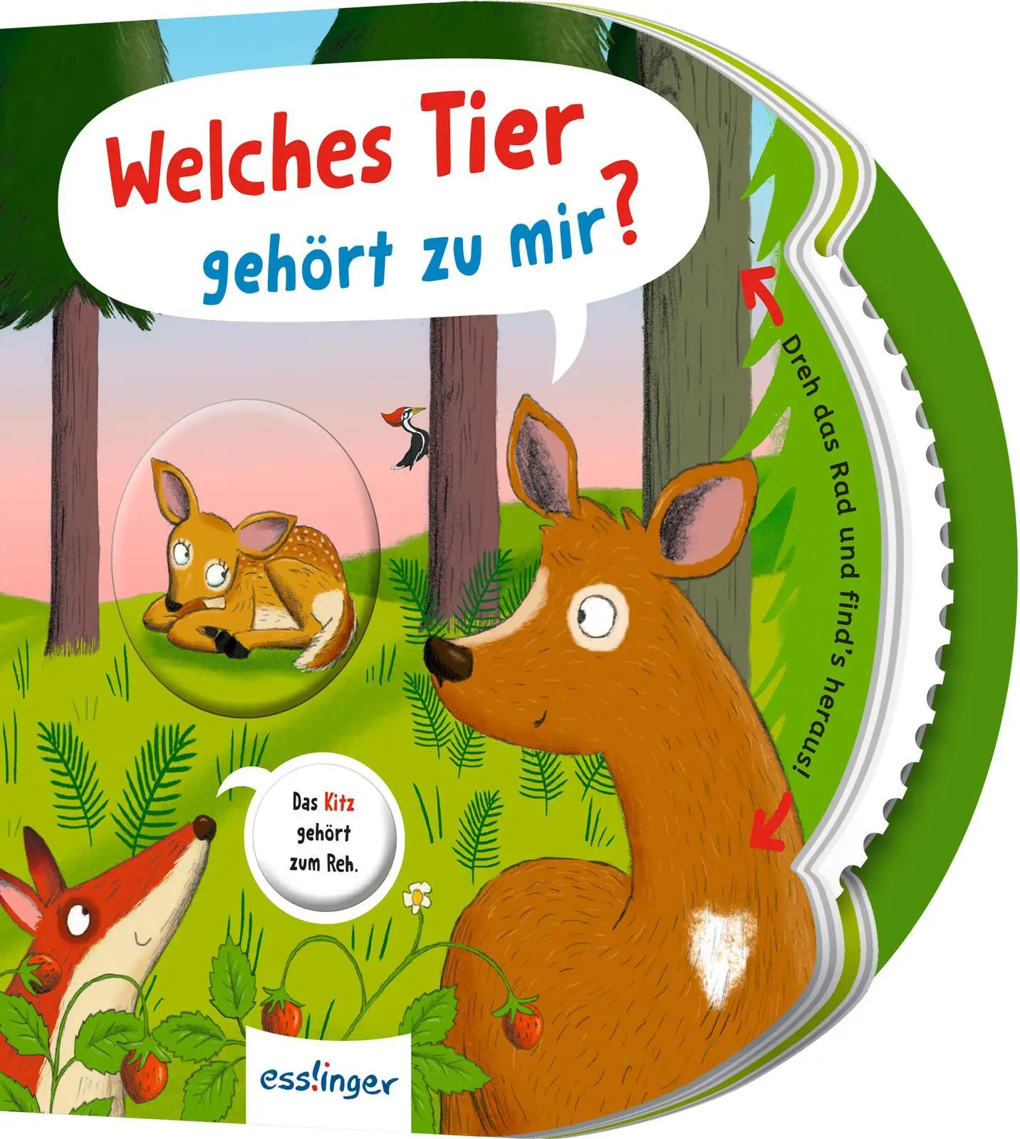Cover: 9783480241170 | Dreh das Rad und find´s heraus!: Welches Tier gehört zu mir? | Kiel