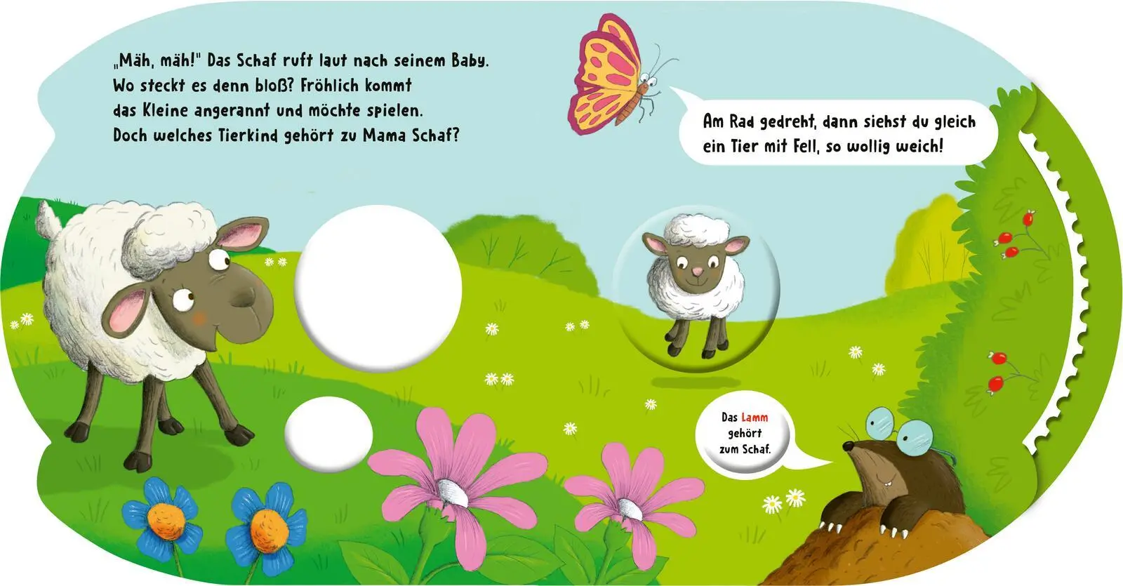 Bild: 9783480241170 | Dreh das Rad und find´s heraus!: Welches Tier gehört zu mir? | Kiel