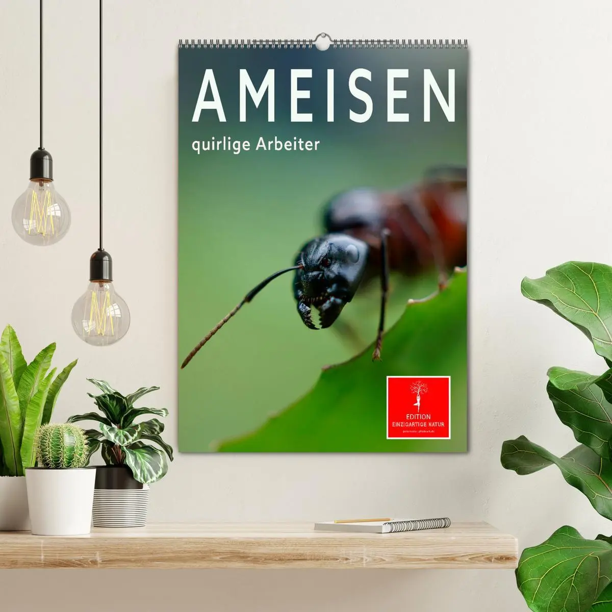 Bild: 9783516351170 | Ameisen quirlige Arbeiter (Wandkalender 2026 DIN A2 hoch), CALVENDO...
