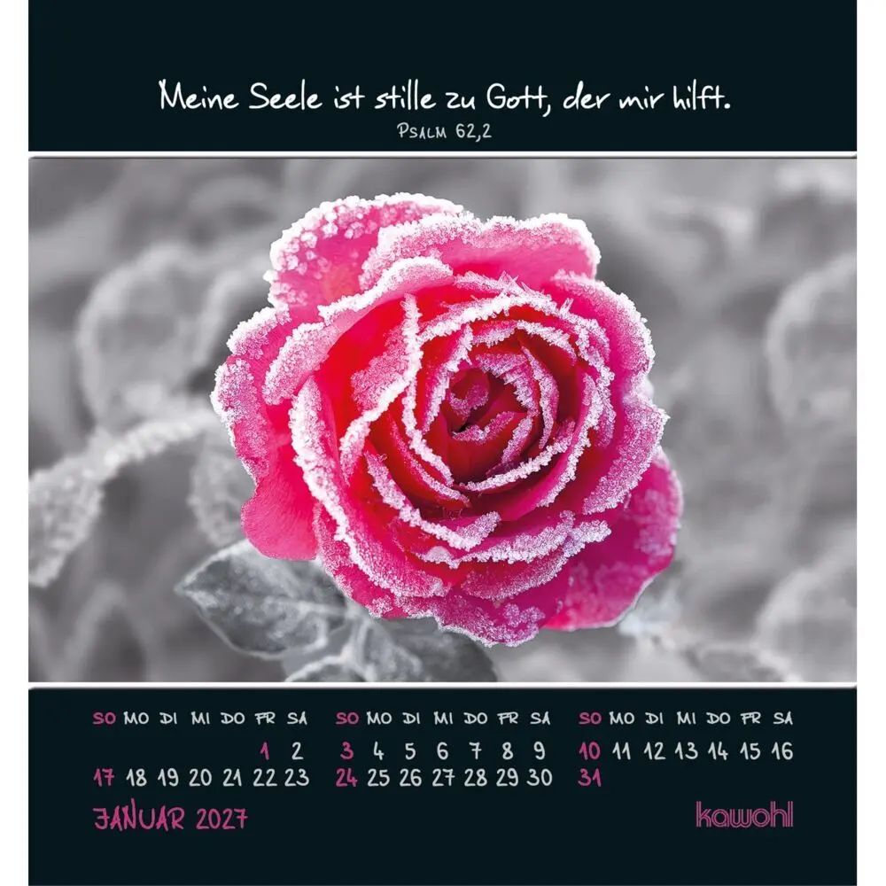 Bild: 9783754881170 | Freu dich an kleinen Wundern 2027 | Kalender | Spiralbindung | 14 S.