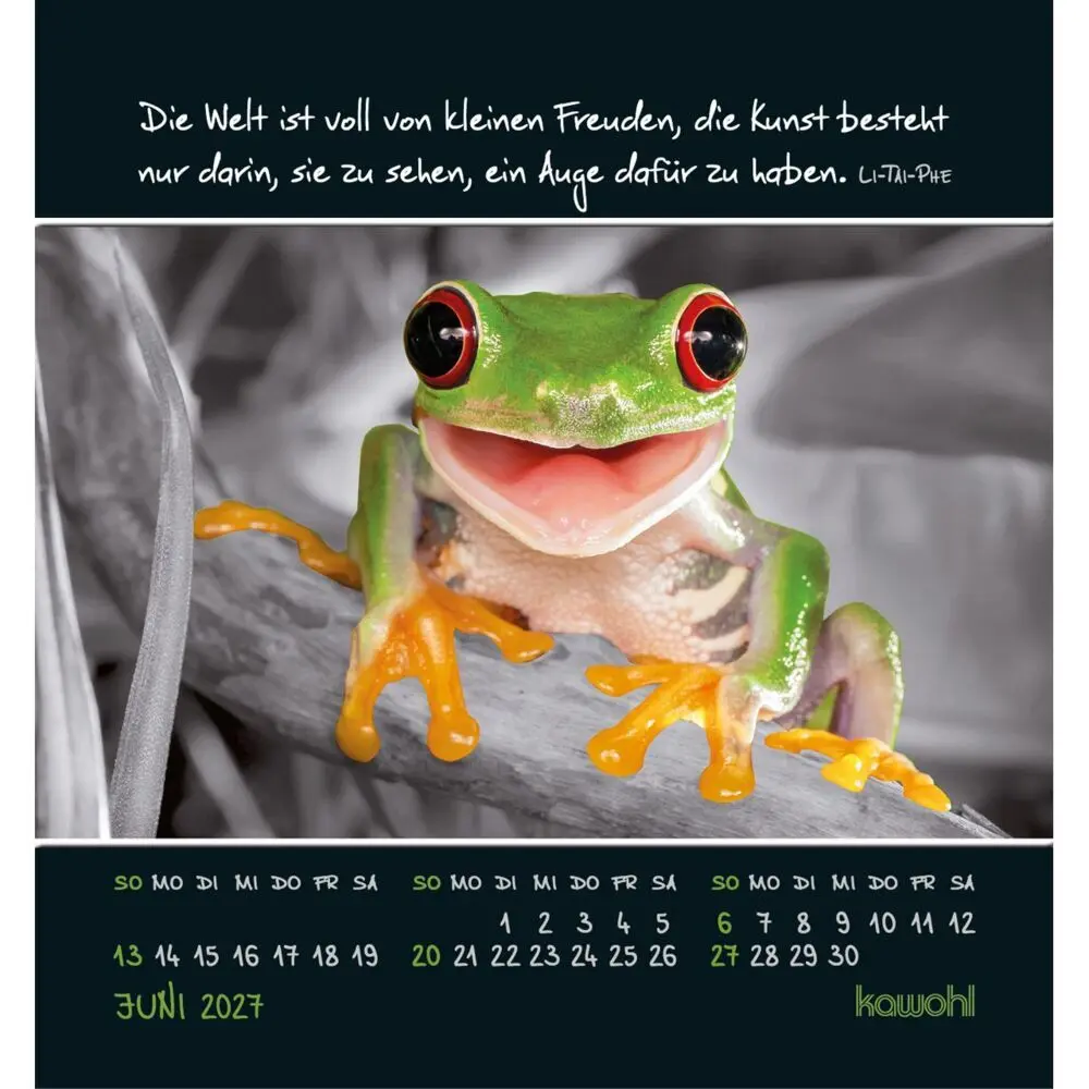 Bild: 9783754881170 | Freu dich an kleinen Wundern 2027 | Kalender | Spiralbindung | 14 S.