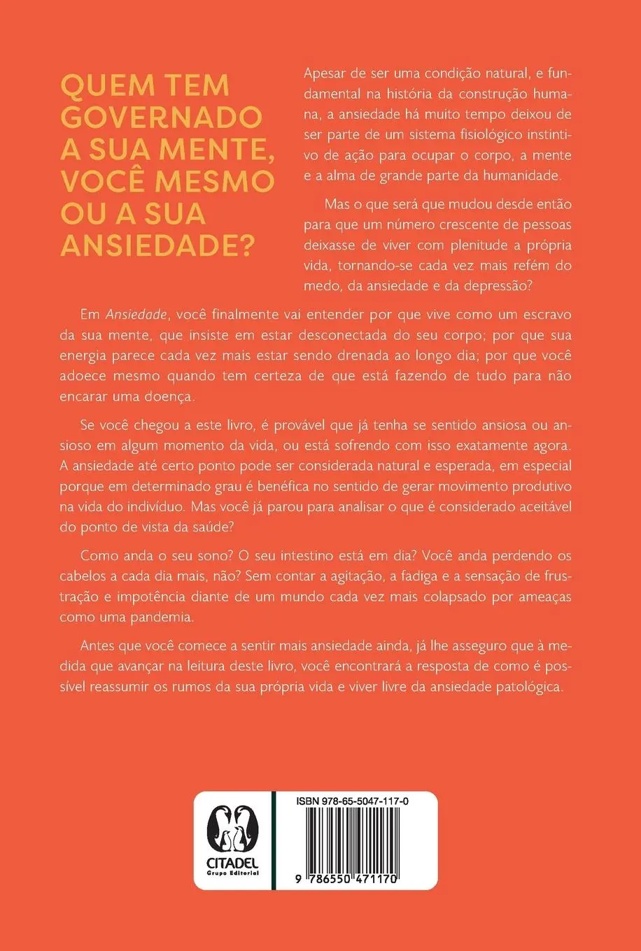 Rückseite: 9786550471170 | Ansiedade | Juliano Pimentel | Taschenbuch | Paperback | Portugiesisch
