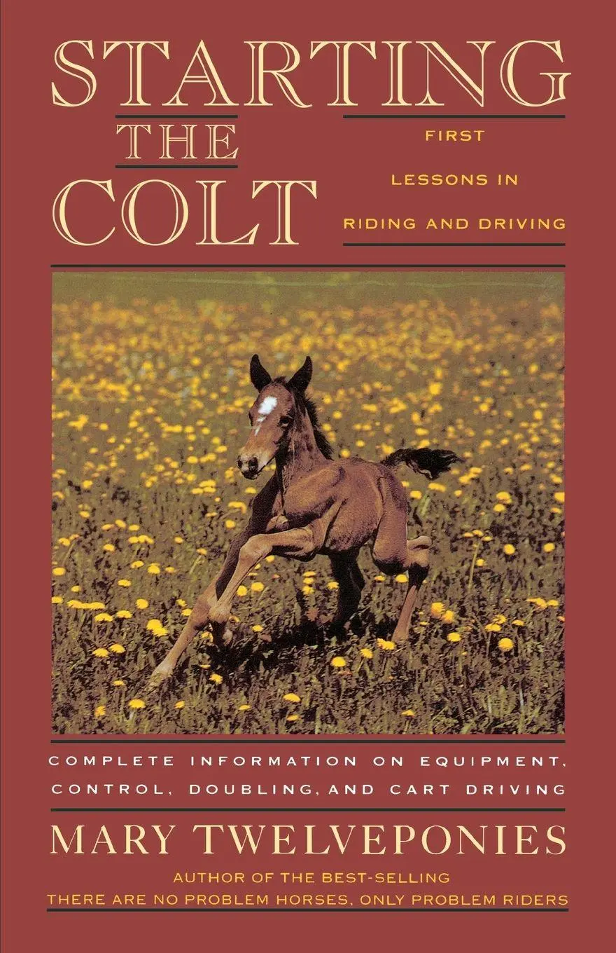 Cover: 9780395631270 | Starting the Colt | Mary Twelveponies | Taschenbuch | Englisch | 1992