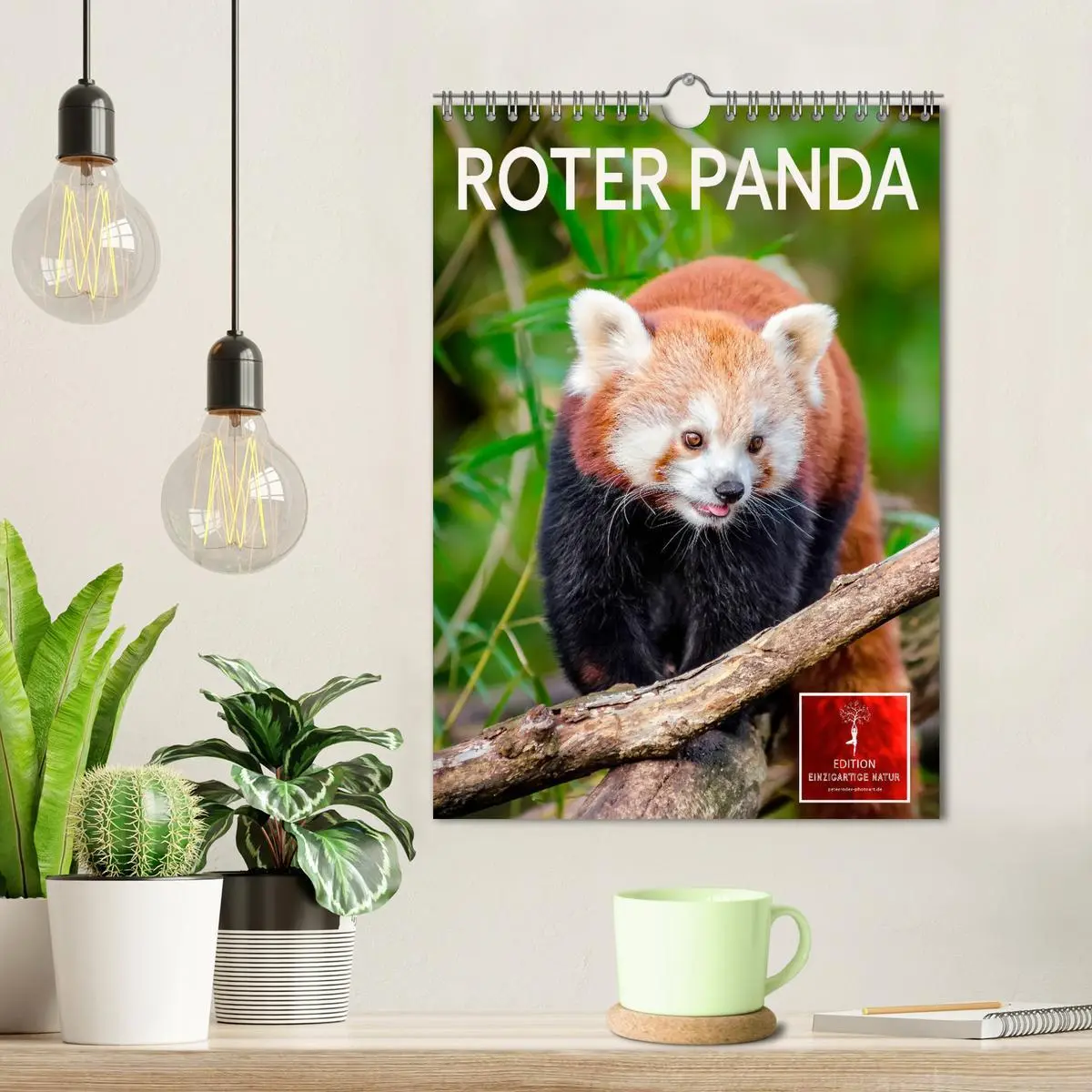 Bild: 9783516411270 | Roter Panda (Wandkalender 2026 DIN A4 hoch), CALVENDO Monatskalender