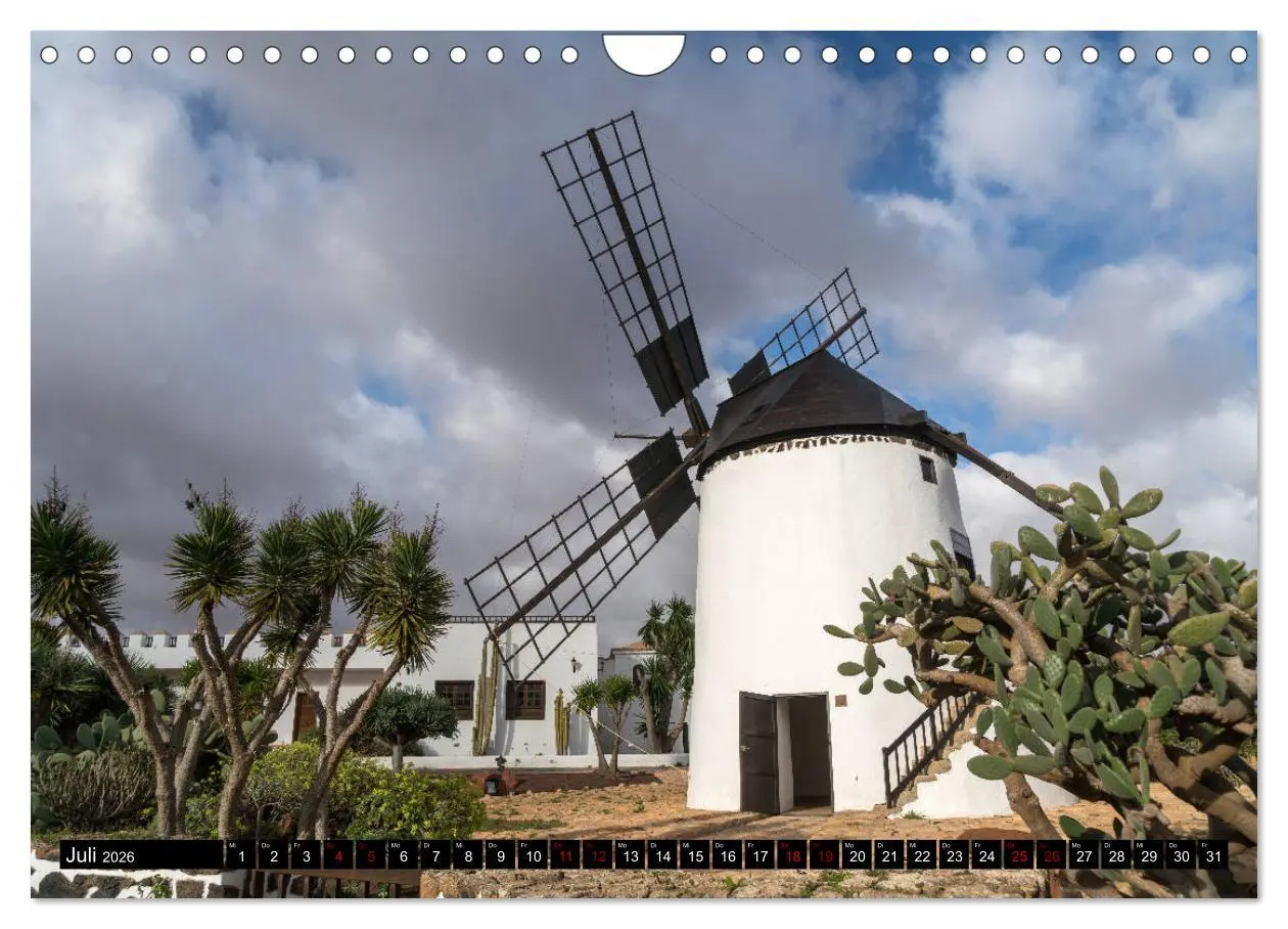 Bild: 9783457861370 | Die Kanarischen Inseln (Wandkalender 2026 DIN A4 quer), CALVENDO...