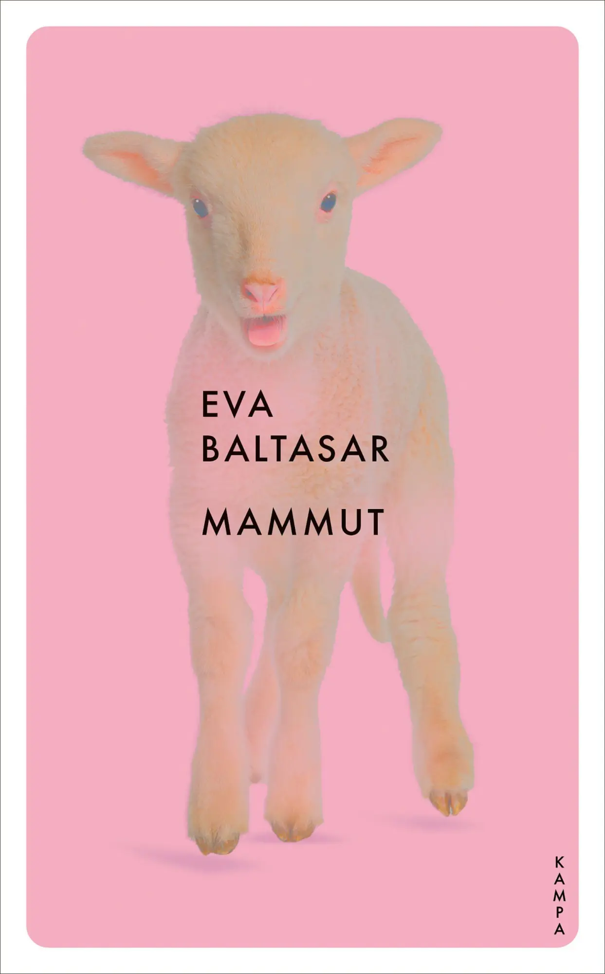 Cover: 9783311151470 | Mammut | Eva Baltasar | Taschenbuch | 112 S. | Deutsch | 2026