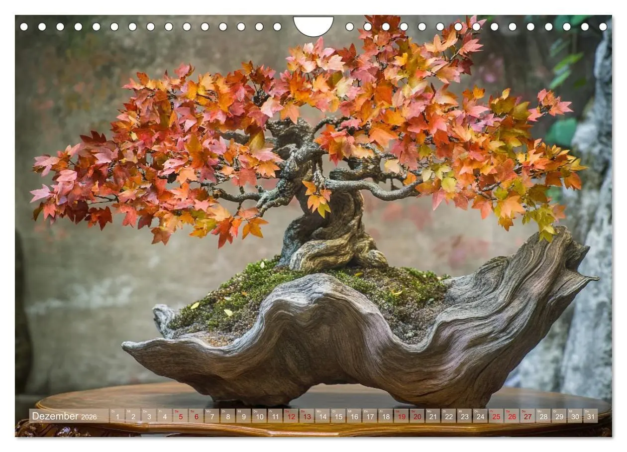 Bild: 9783457301470 | Bonsai, die formvollendete Kunst (Wandkalender 2026 DIN A4 quer),...