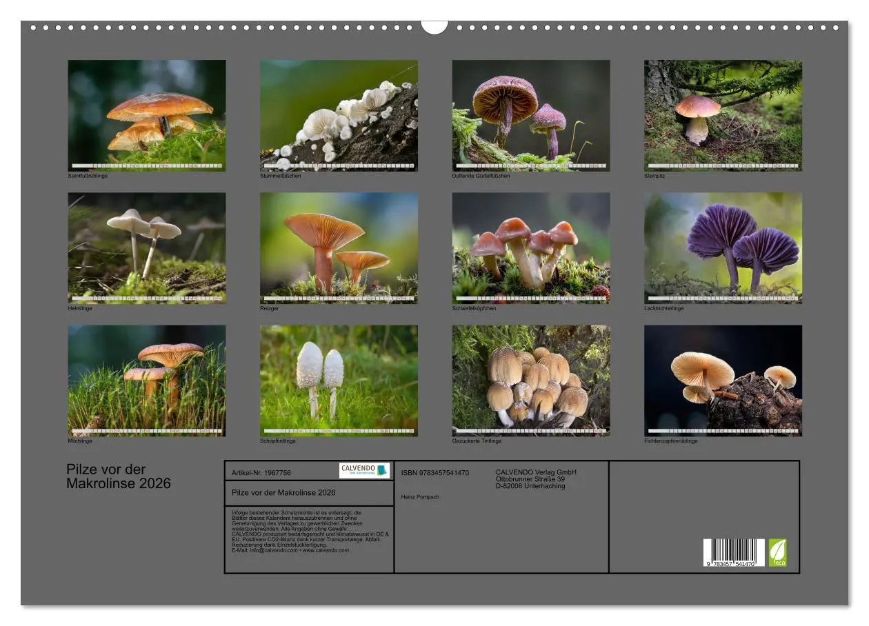 Bild: 9783457541470 | Pilze vor der Makrolinse 2026 (Wandkalender 2026 DIN A2 quer),...