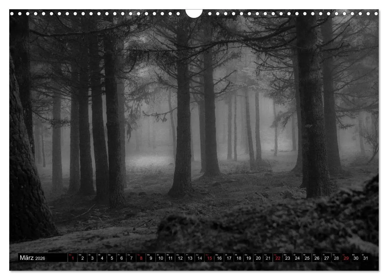 Bild: 9783516181470 | Stille Momente in Schwarz-Weiss (Wandkalender 2026 DIN A3 quer),...