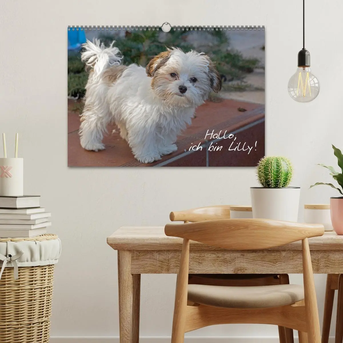 Bild: 9783457601570 | Hallo, ich bin Lilly (Wandkalender 2026 DIN A3 quer), CALVENDO...