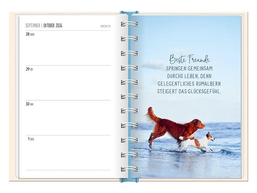 Bild: 9783986361570 | Terminplaner 2026 Eine Brise Meer | Terminplaner Hardcover | Original