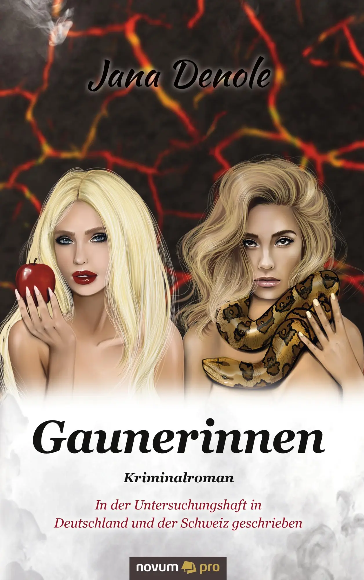 Cover: 9783991071570 | Gaunerinnen | Jana Denole | Taschenbuch | 494 S. | Deutsch | 2021