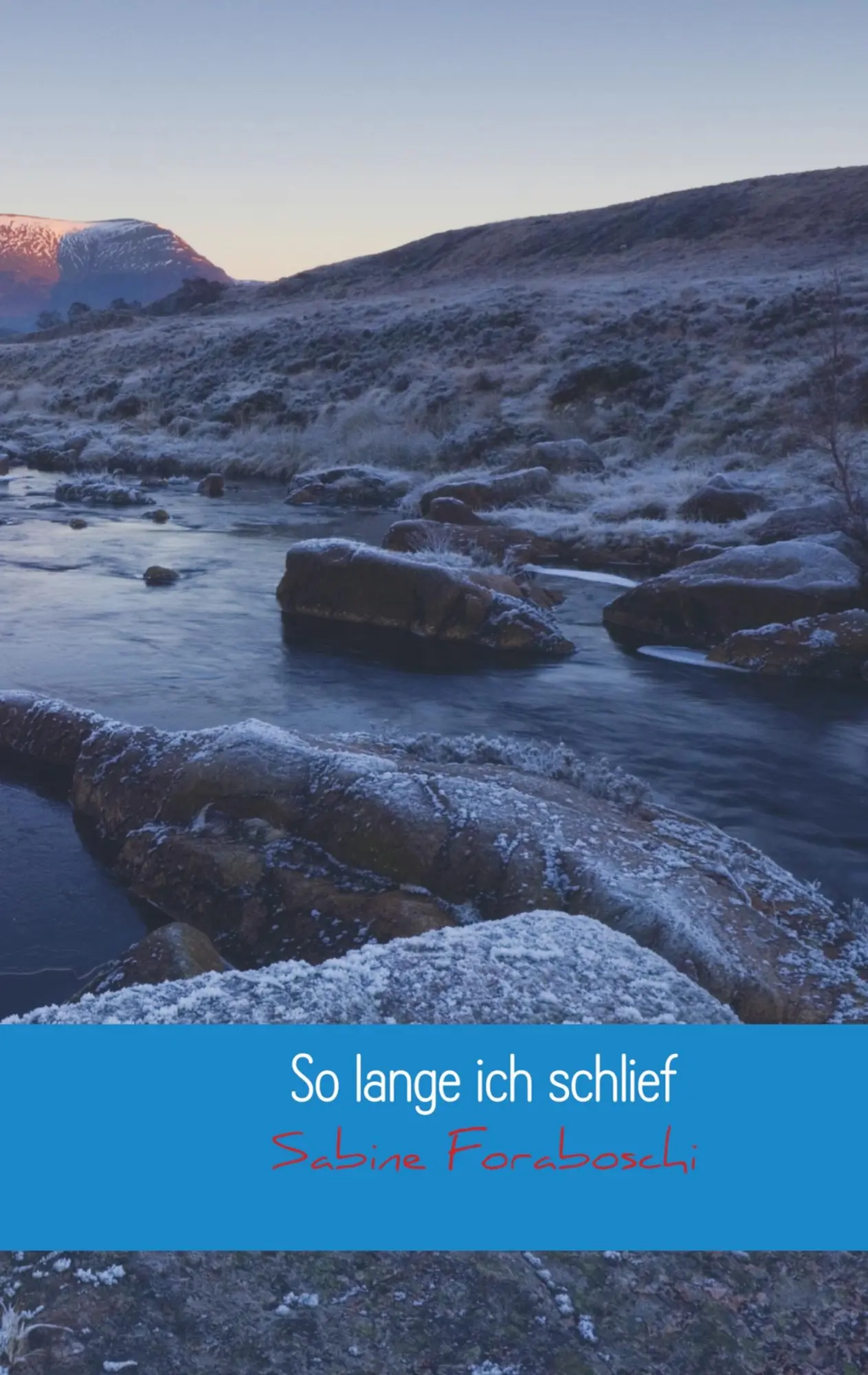 Cover: 9789463181570 | So lange ich schlief | Einmal Wachkoma und zurück | Sabine Foraboschi