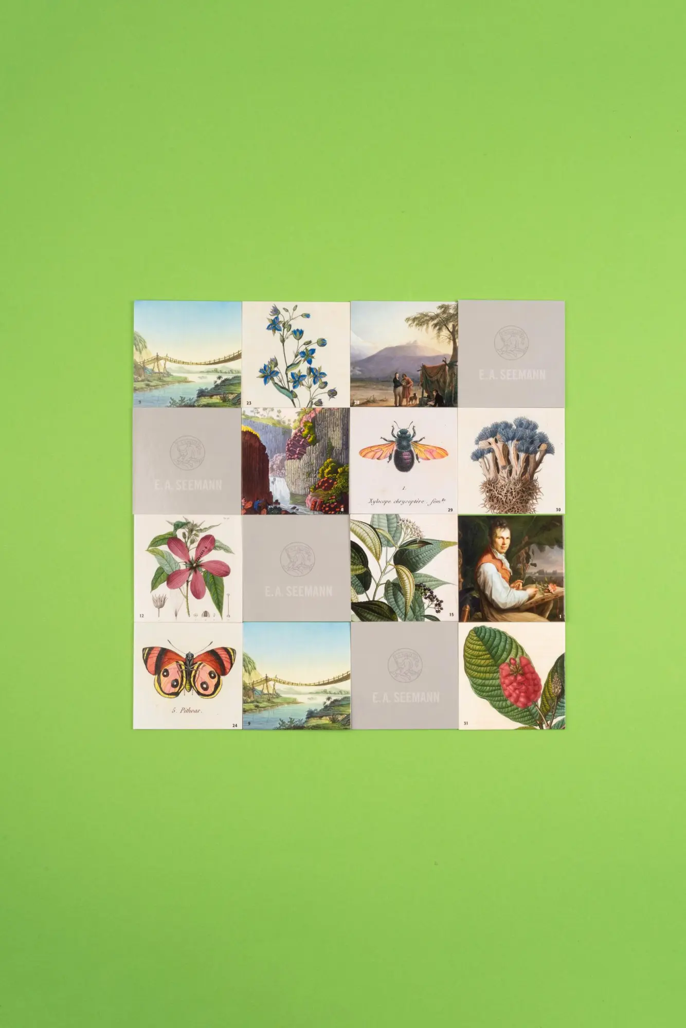 Bild: 4260044151670 | Alexander von Humboldt. Memo | Spiel | Schuber | Deutsch | 2021
