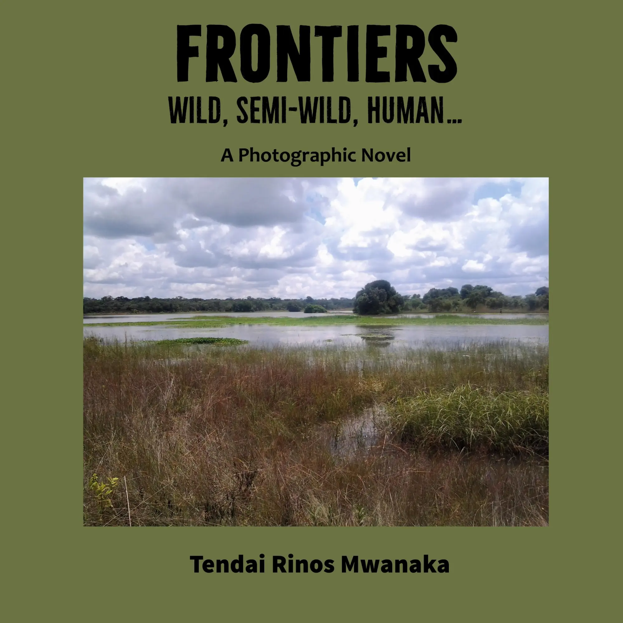 Cover: 9781779331670 | Frontiers | Wild, Semi-Wild, Human | Tendai Rinos Mwanaka | Buch
