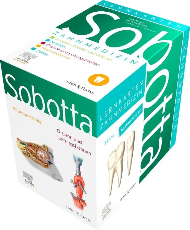 Cover: 9783437411670 | Sobotta Lernkarten Zahnmedizin | Lars Bräuer (u. a.) | Box | Sobotta