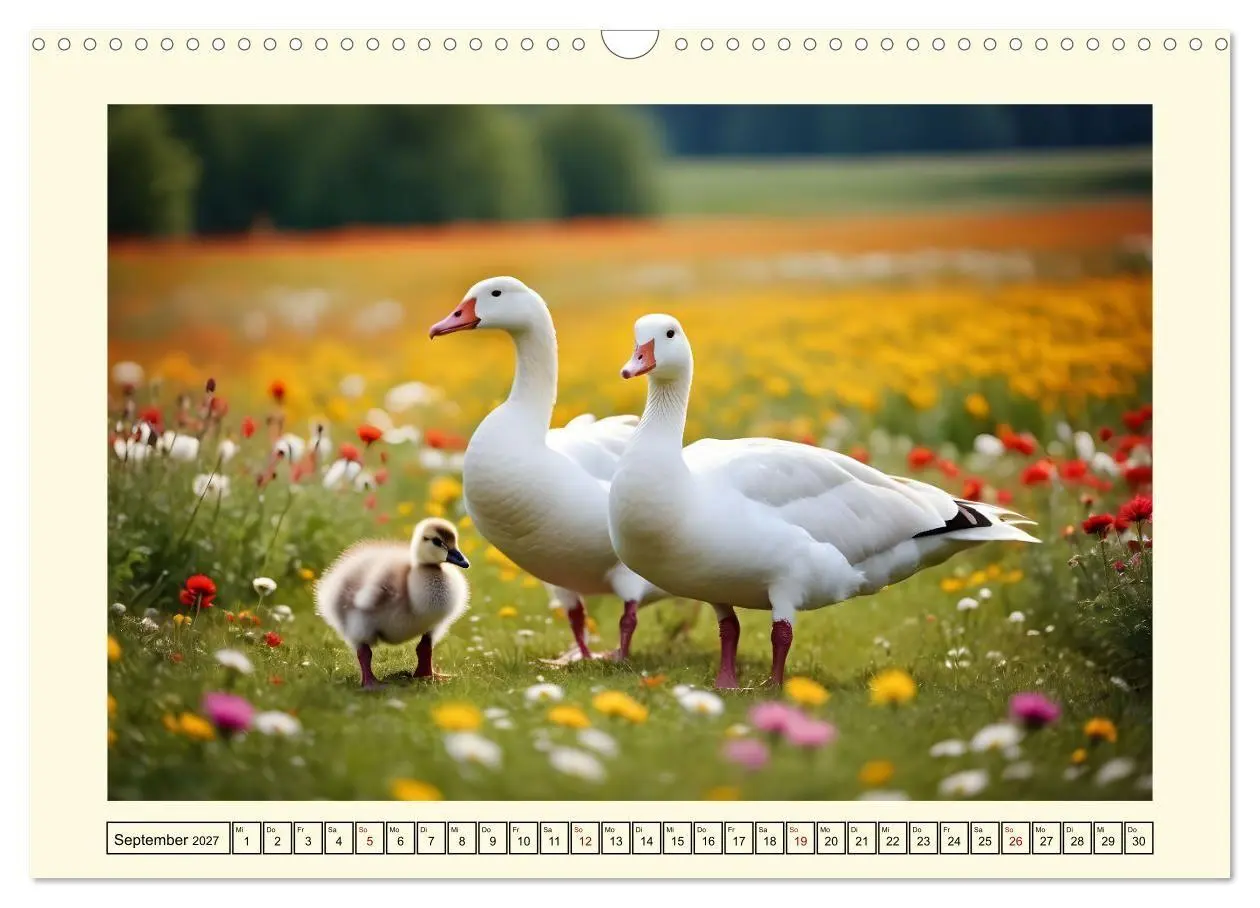 Bild: 9783569011670 | Glückliches Geflügel (Wandkalender 2027 DIN A3 quer), CALVENDO...