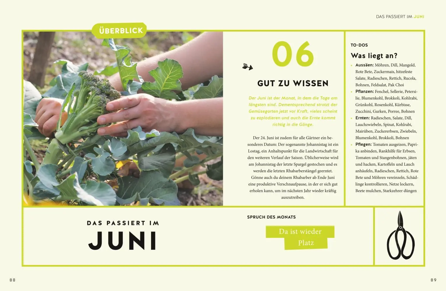 Bild: 9783833881770 | Gemüse für alle! | Das Gartenbuch mit Erntegarantie für Einsteiger