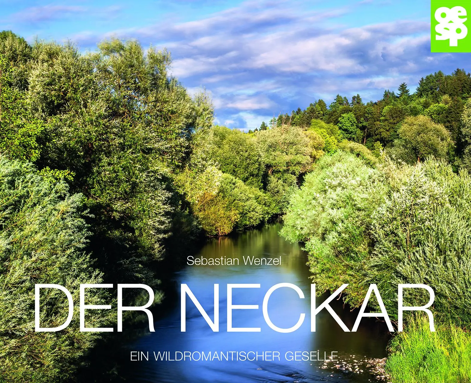 Cover: 9783965551770 | Der Neckar | Ein wildromantischer Geselle | Sebastian Wenzel | Buch