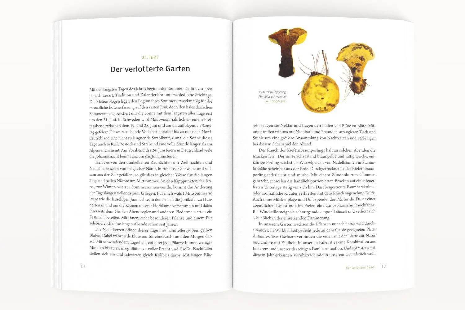 Bild: 9783987261770 | Pilzen begegnen | Lutz Jürgens (u. a.) | Taschenbuch | 264 S. | 2025