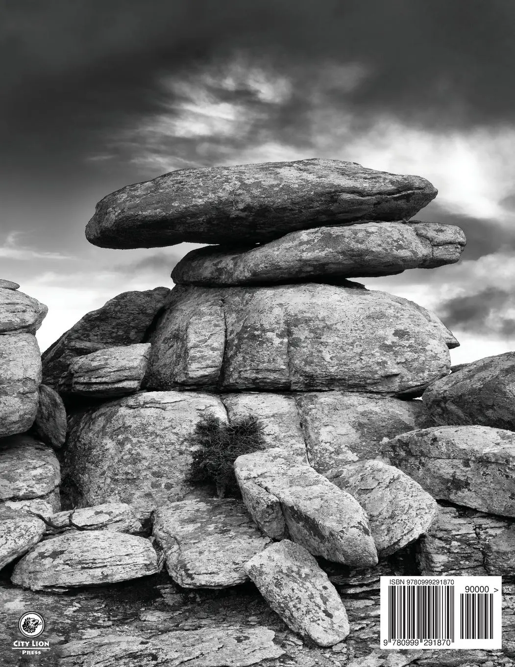 Rückseite: 9780999291870 | Sculpture Garden of the Gods | Thomas K. Shor | Taschenbuch | Englisch