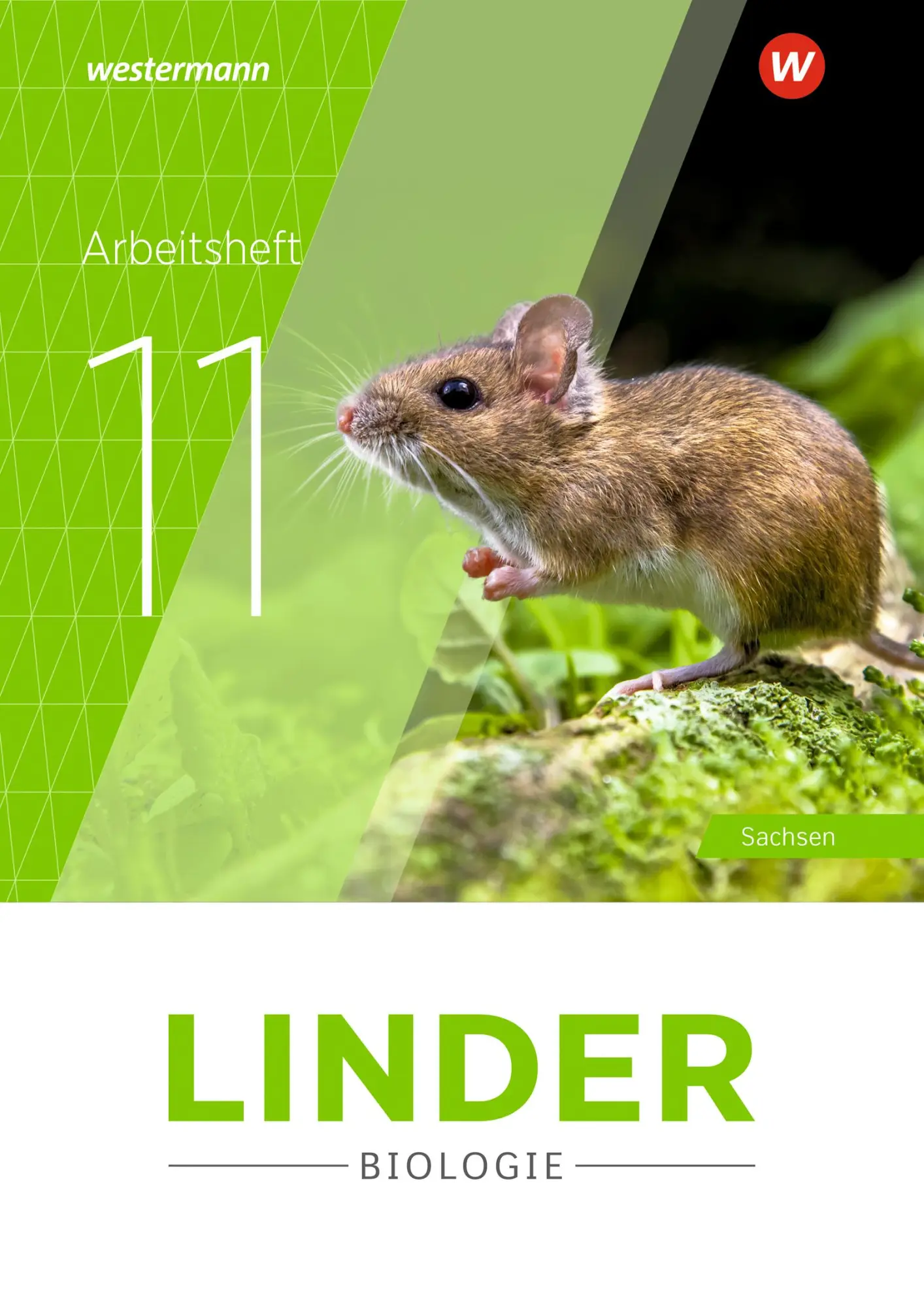 Cover: 9783141521870 | LINDER Biologie SII 11. Arbeitsheft. Für Sachsen | Ausgabe 2025 | 2025