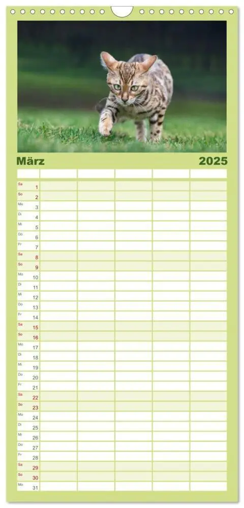 Bild: 9783457121870 | Familienplaner 2025 - Bengalen Outdoor und Action mit 5 Spalten...