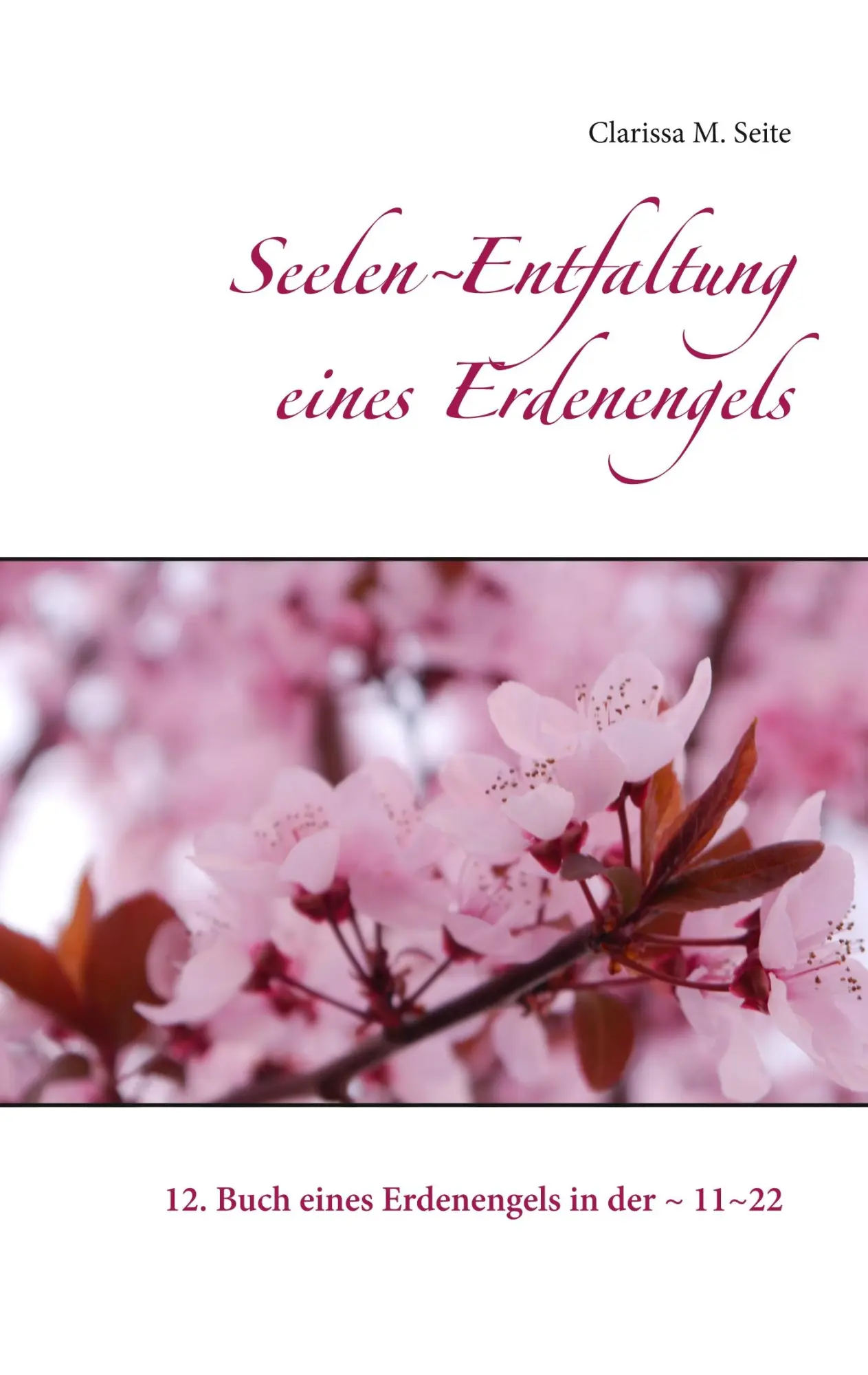 Cover: 9783746061870 | Seelen~Entfaltung eines Erdenengels | Clarissa M. Seite | Taschenbuch