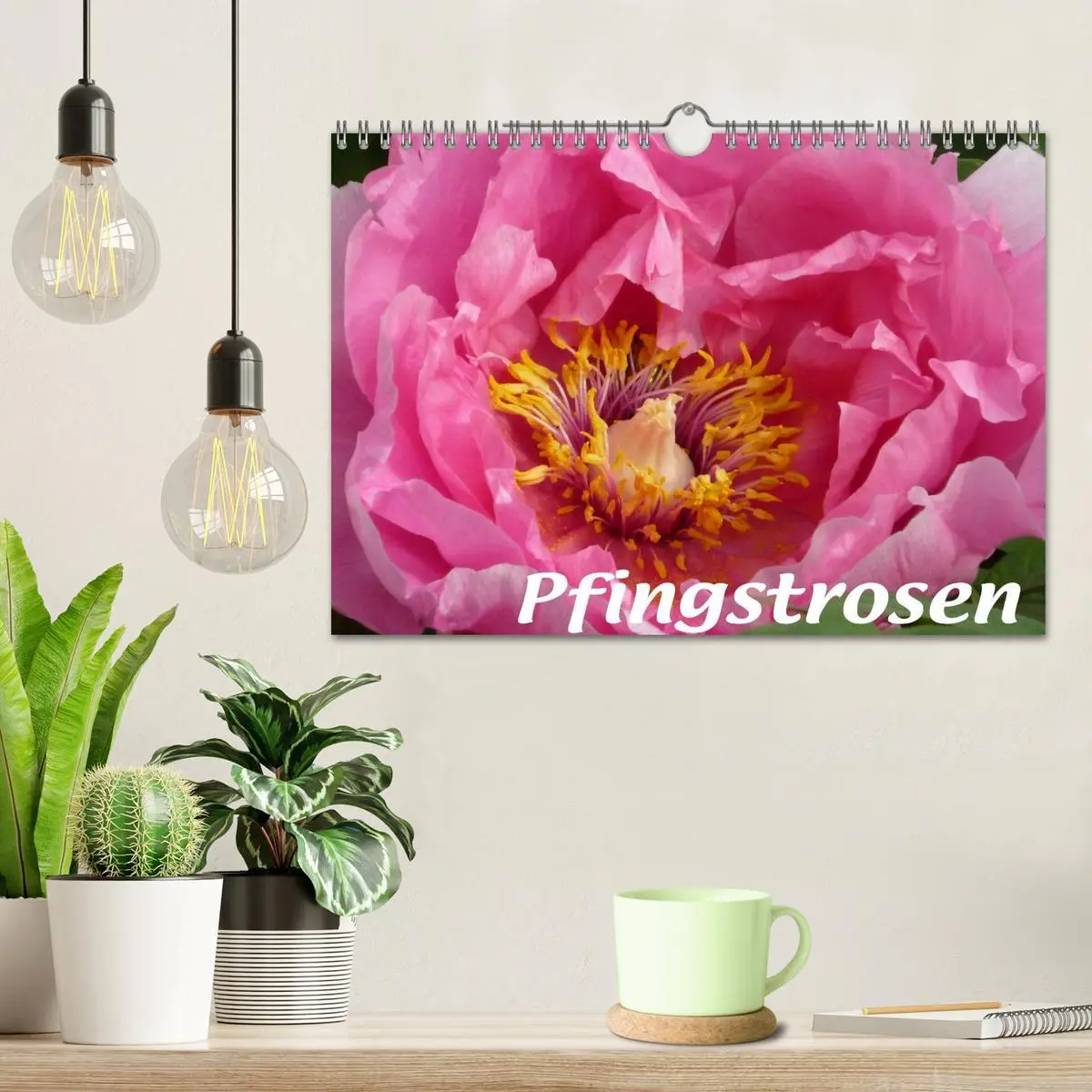 Bild: 9783516201970 | Pfingstrosen (Wandkalender 2026 DIN A4 quer), CALVENDO Monatskalender