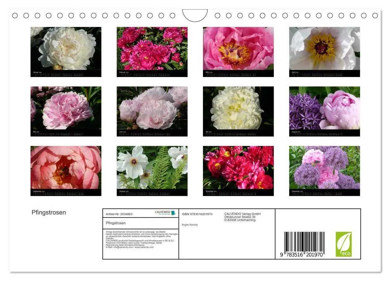 Bild: 9783516201970 | Pfingstrosen (Wandkalender 2026 DIN A4 quer), CALVENDO Monatskalender