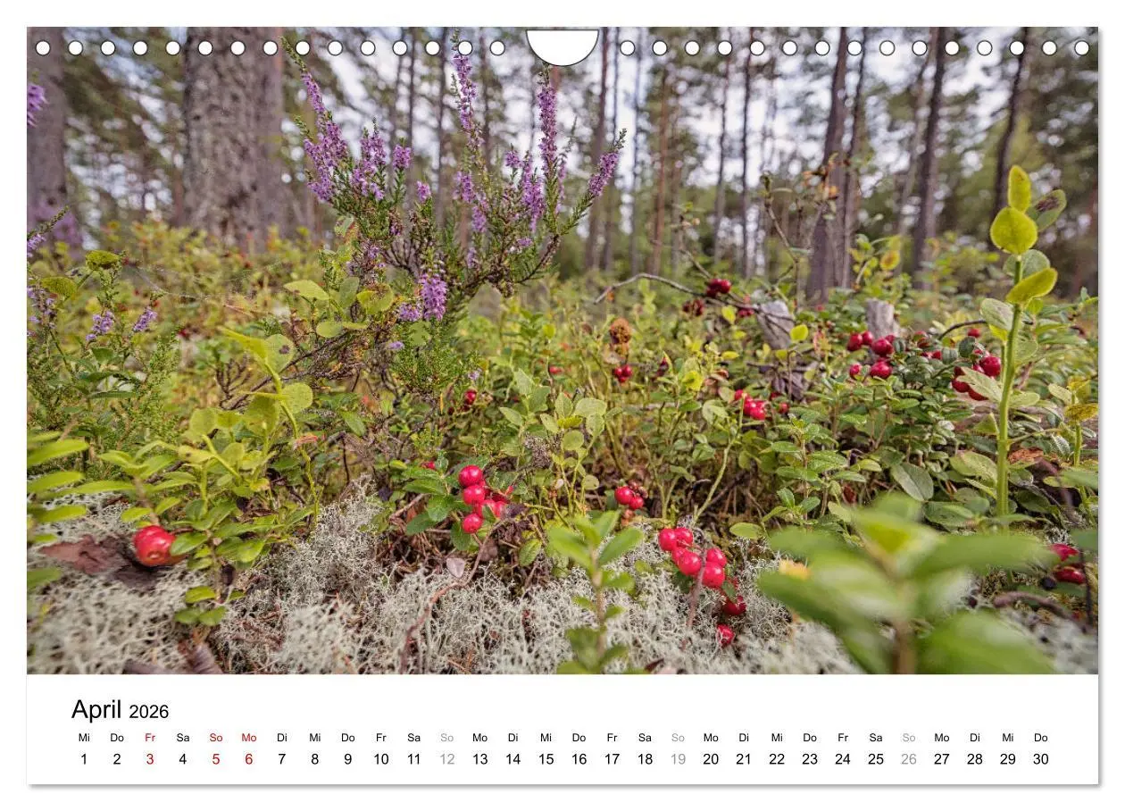 Bild: 9783457312070 | Schweden - Die Highlights von Småland bis zur Westküste...
