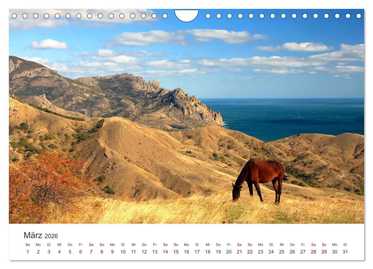 Bild: 9783457552070 | Freiheitsliebende Wildpferde (Wandkalender 2026 DIN A4 quer),...